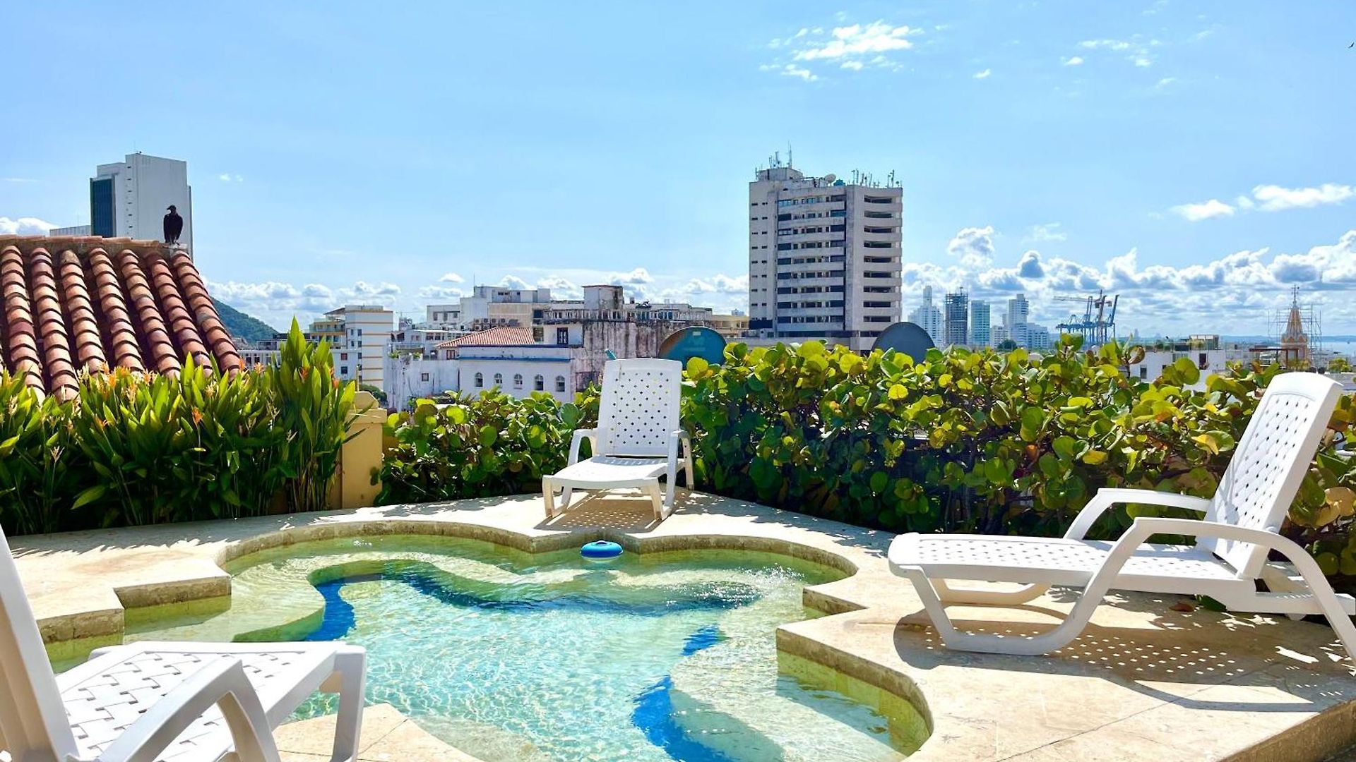 Apartamento Calamari Homes - El Porvenir 305 - Walled